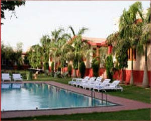 Ranthambore Regency - Pool