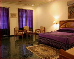 Ranthambore Regency - Room